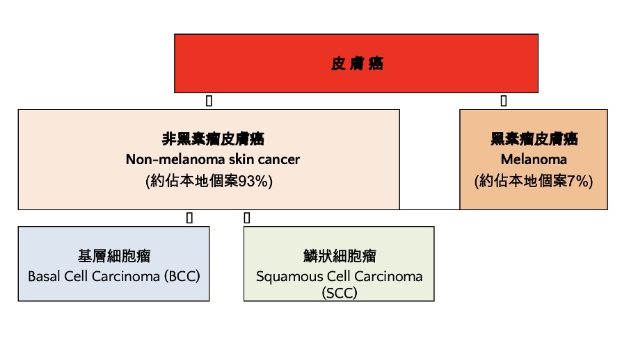  ch9-25-2-p2.jpg