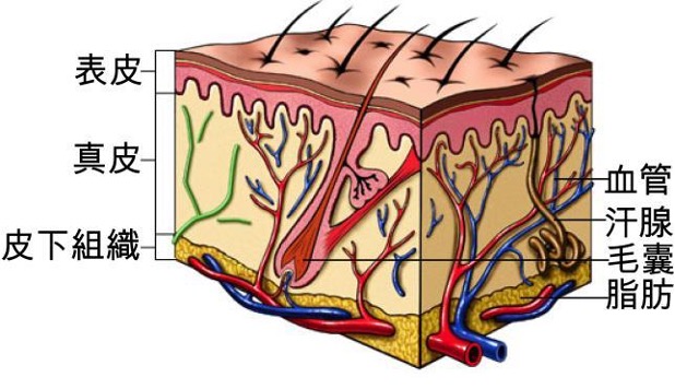  ch9_article25_p1.jpg