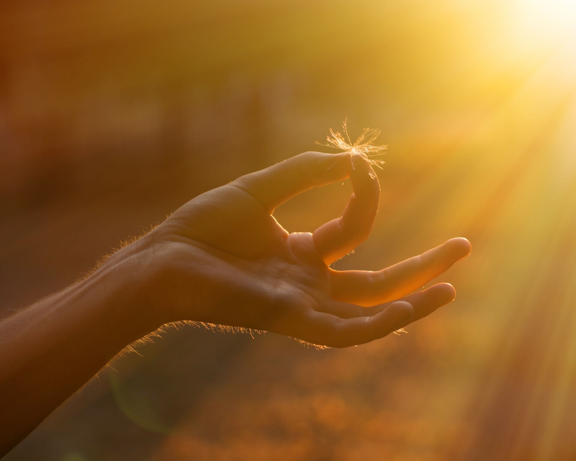  shutterstock_253965007.jpg